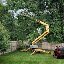 Best Tree Cabling and Bracing  in Woodville, FL
