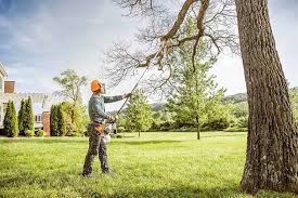 Best Tree Preservation Services  in Woodville, FL